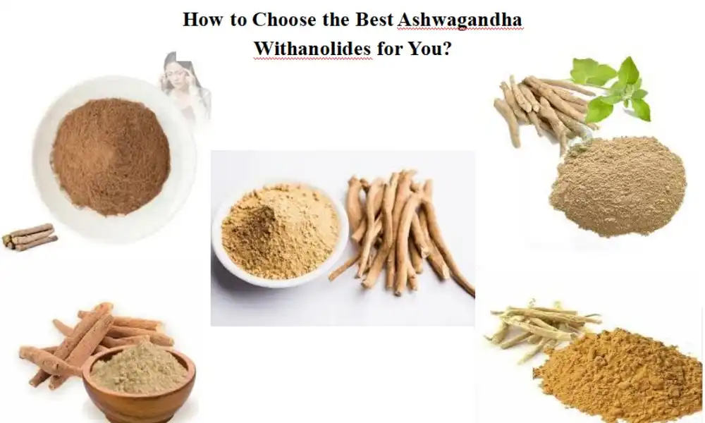 How to Choose the Best Ashwagandha Withanolides for You?